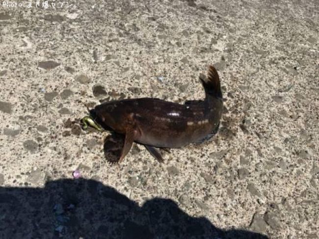 �����ʥ�