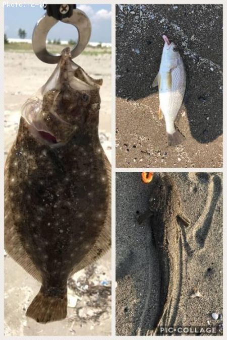 ������饳�����