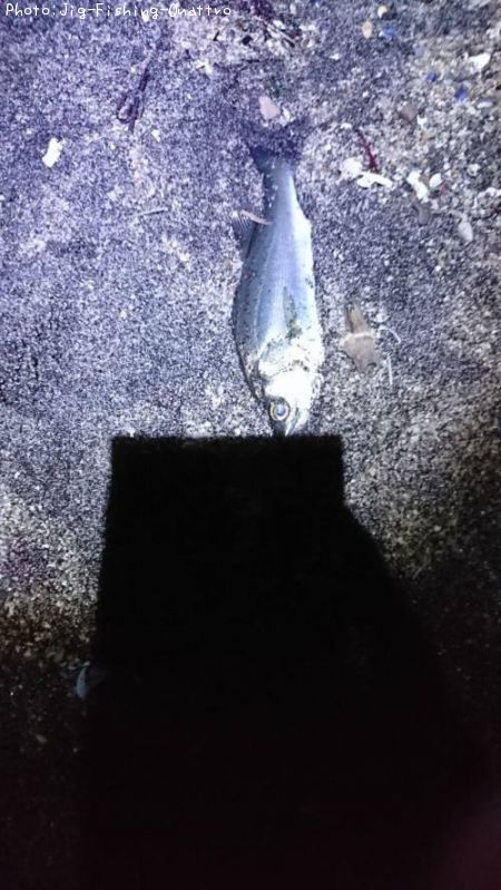 �����Х�