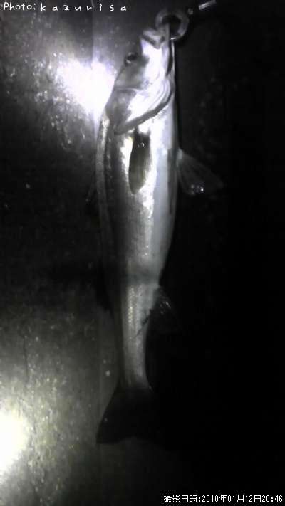 �����Х�