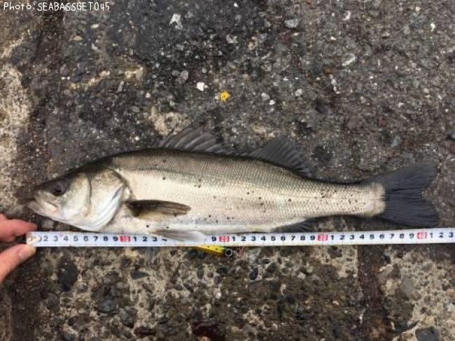 �����Х�