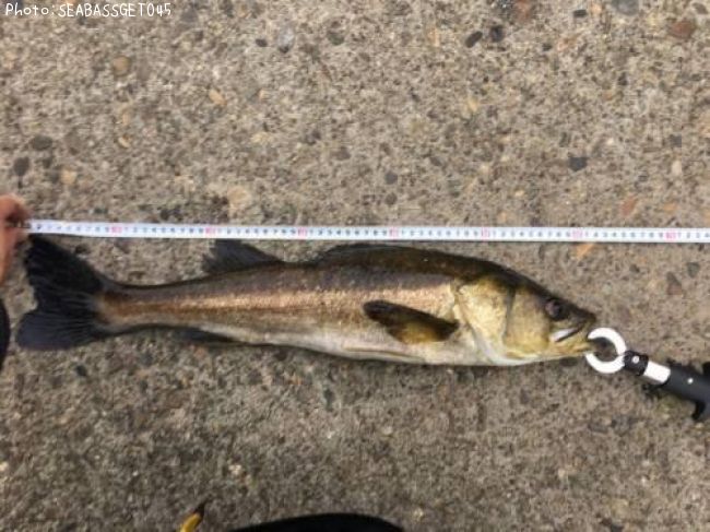 �����Х�