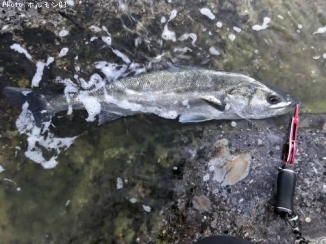 �����Х�