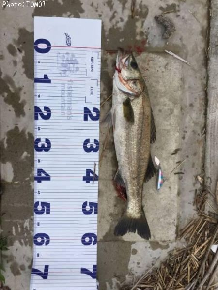 �����Х�