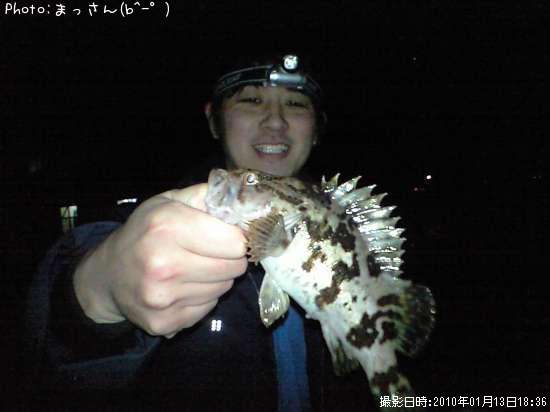 �٥å�������