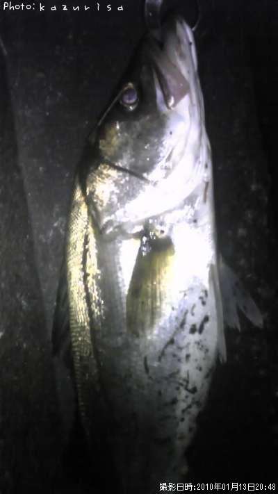 �����Х�