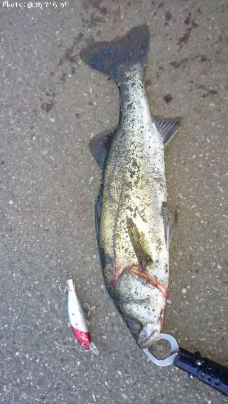 �����Х�