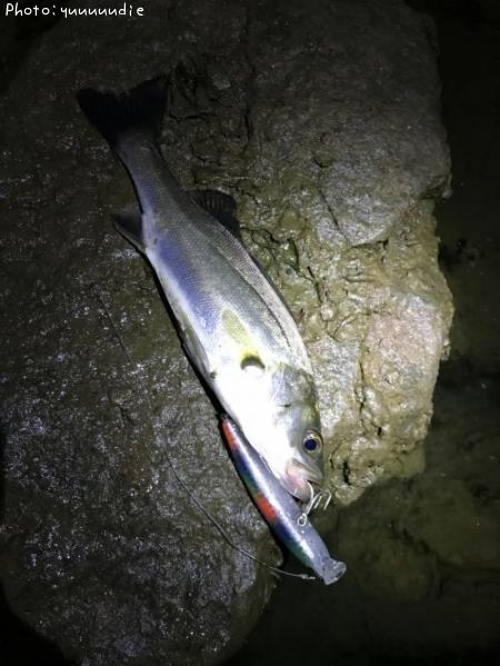 �����Х�