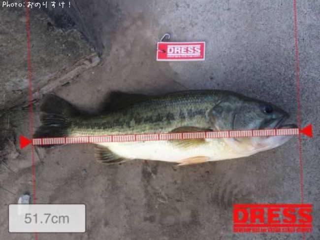 �顼���ޥ����Х�