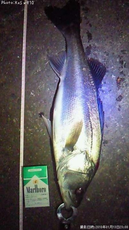 �����Х�