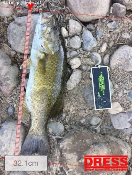 �֥�å��Х�