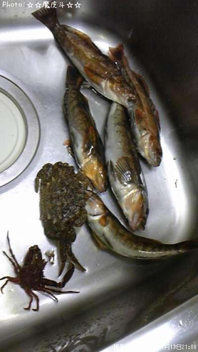 �����ʥ�