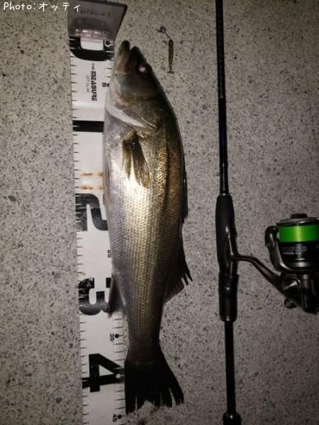 �����Х�