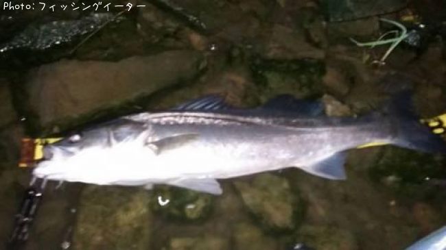 �����Х�