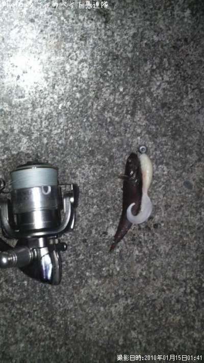 �������������ʥ�