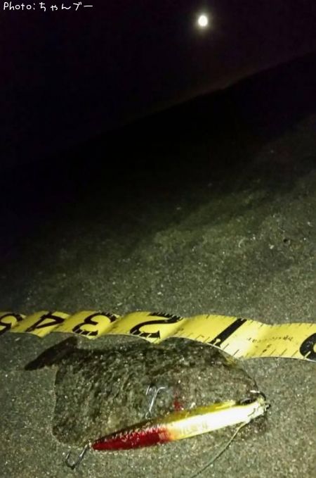 �ҥ��ʥ�����