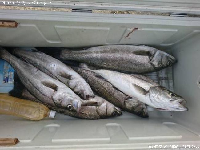 �����Х�