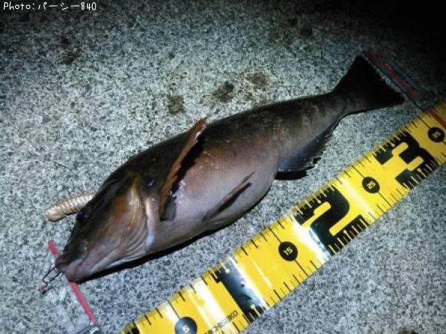 �����ʥ�