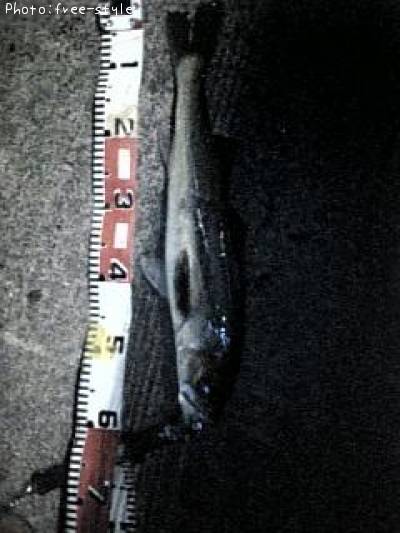 �ӣ��£���