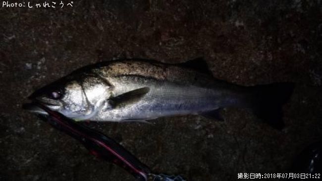 �����Х�