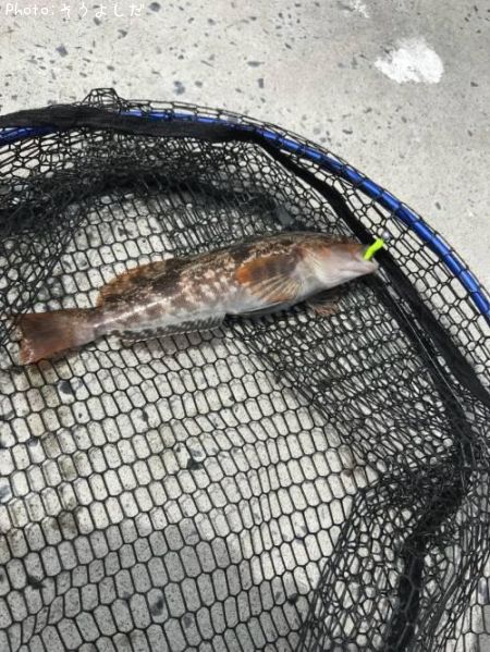 �����ʥ�