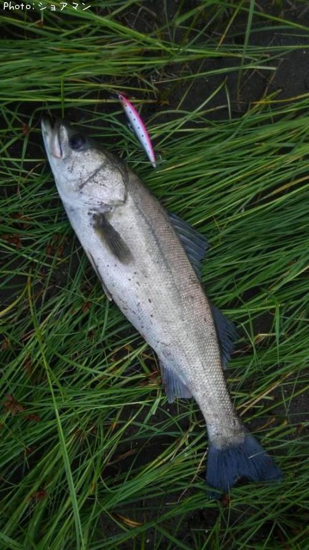 �����Х�