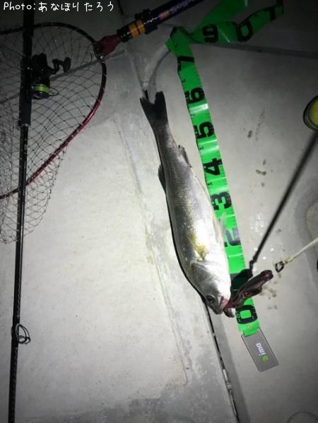 �����Х�