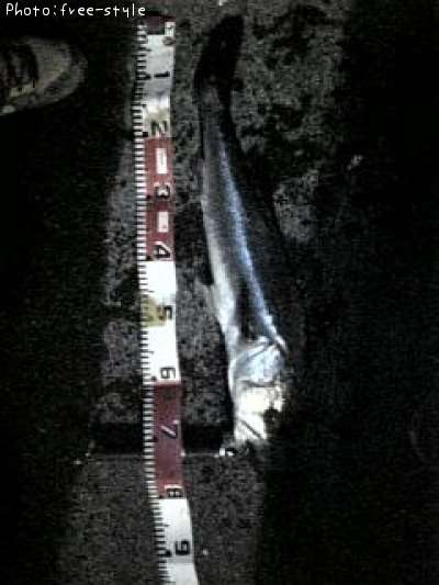 �ӣ��£���