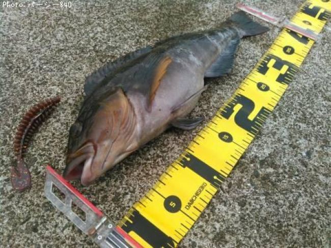 �����ʥ�