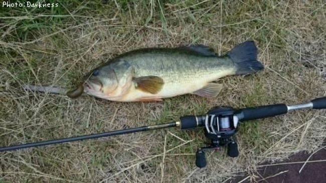 �֥�å��Х�