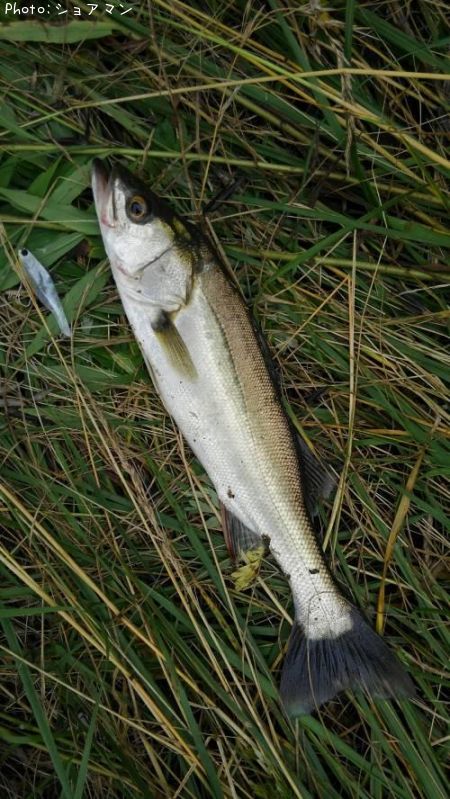 �����Х�