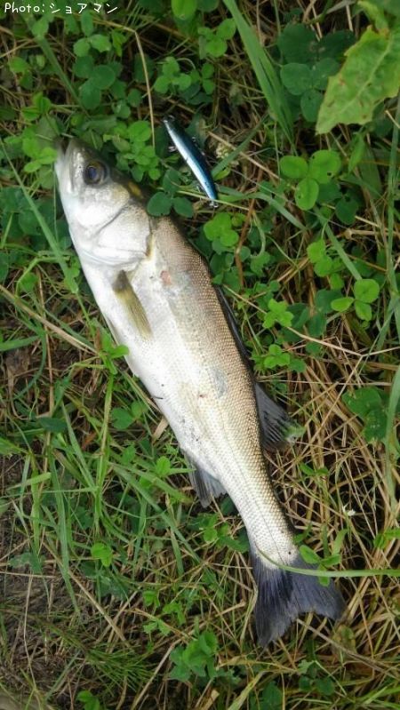 �����Х�