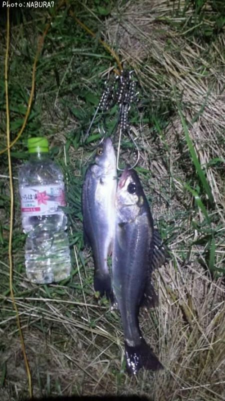 �����Х�