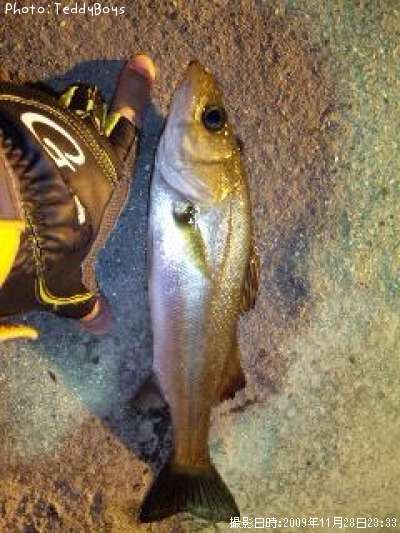 �����Х�