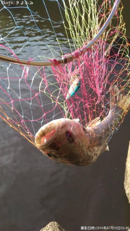 �����Х�