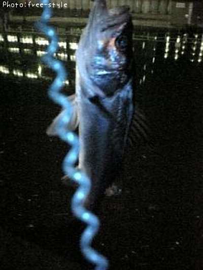 �ӣ��£���