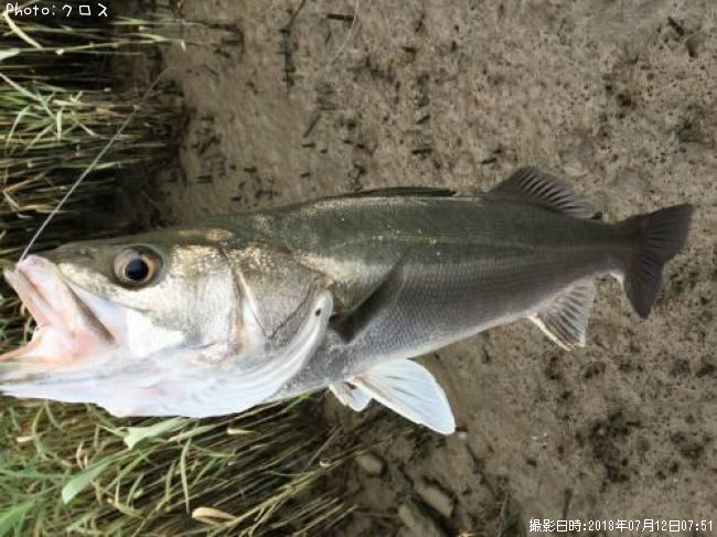 �����Х�