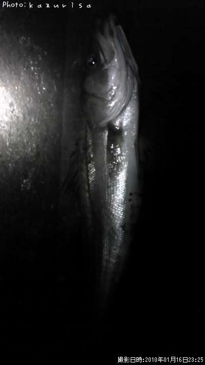 �����Х�