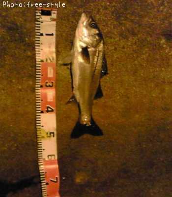 �ӣ��£���