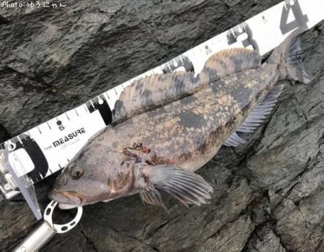 �����ʥ�