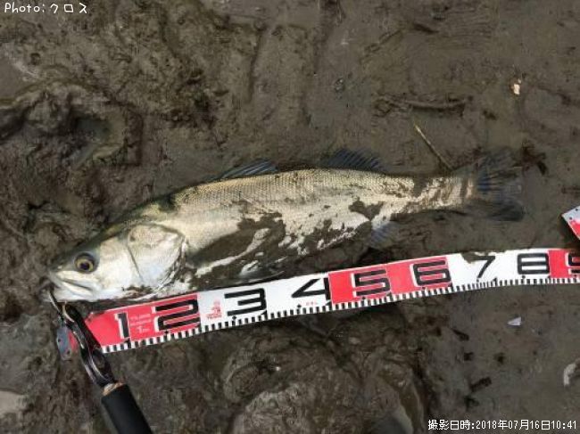 �����Х�