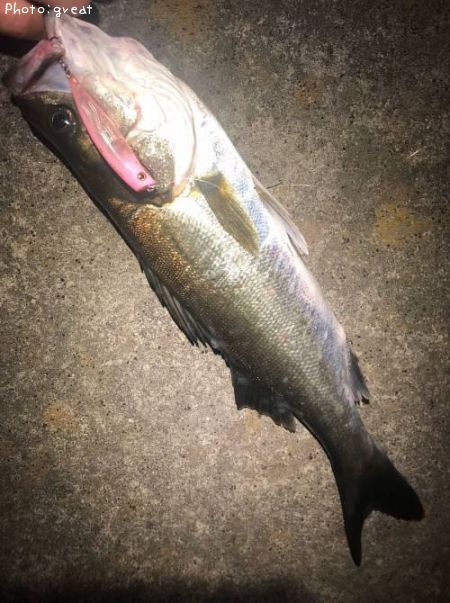 �����Х�