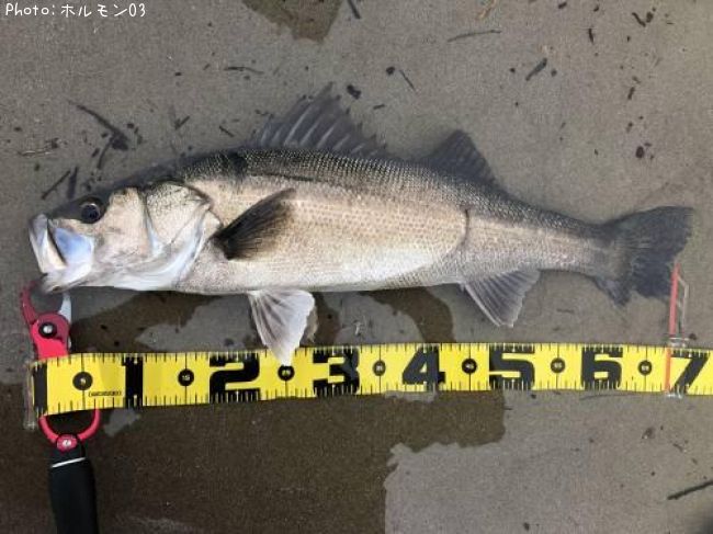 �����Х�