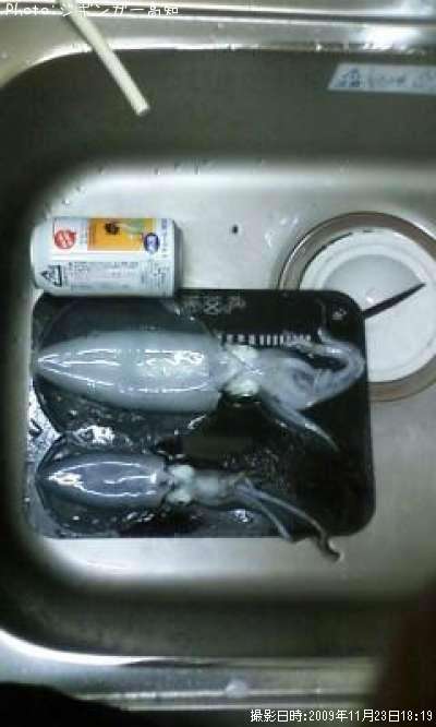 �����ꥤ��