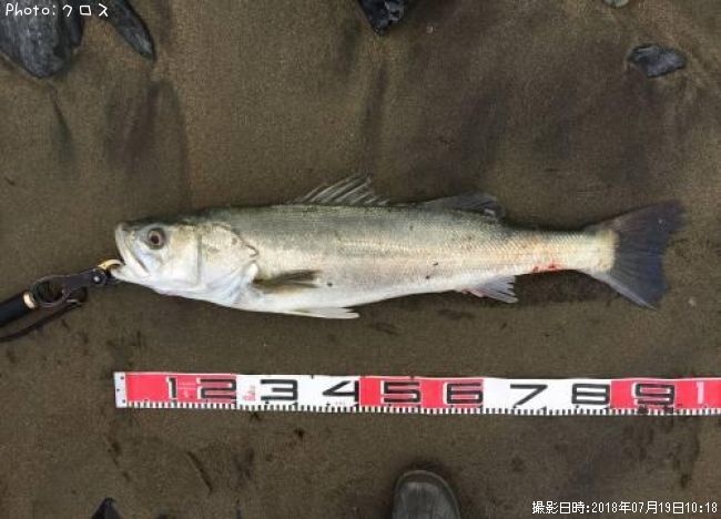 �����Х�