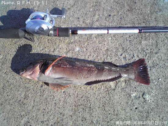 �����ʥ�