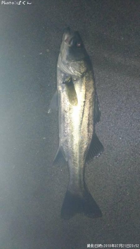 �����Х�