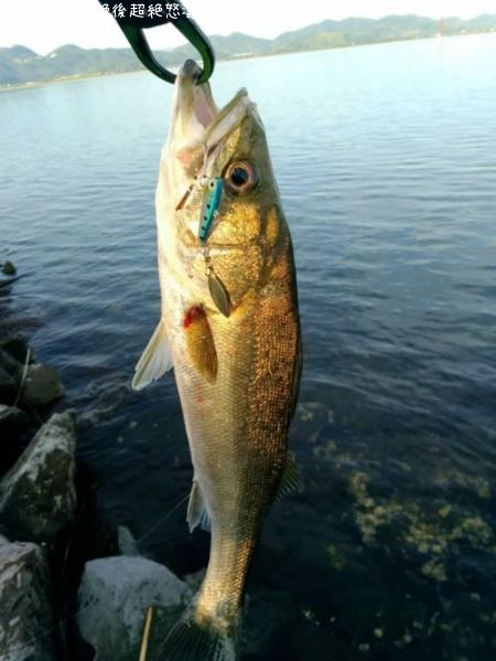 �����Х�