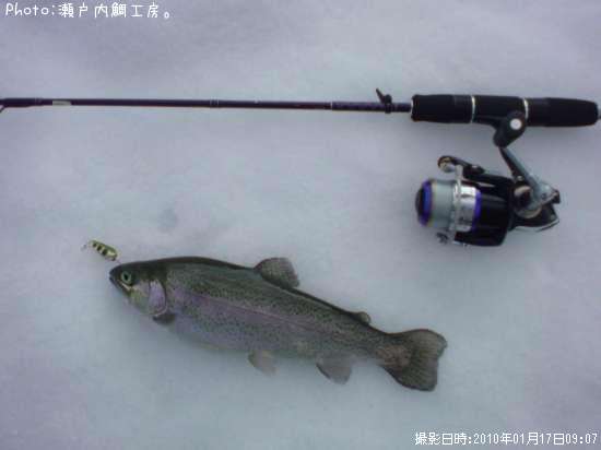 �쥤��ܡ��ȥ饦��