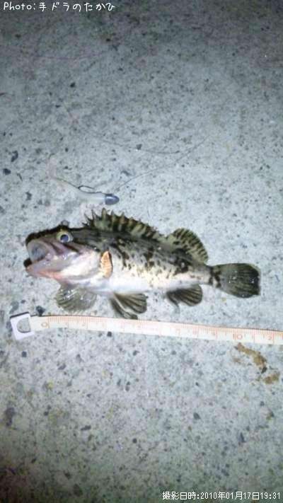 �����Υ���Х�